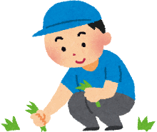 庭の手入れ
