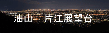城南区油山片江展望台