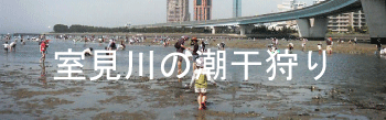 室見川の潮干狩り