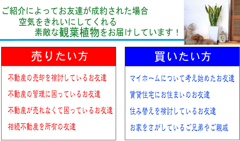 お友達に観葉植物プレゼント