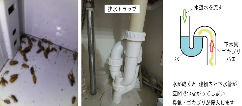 排水トラップ