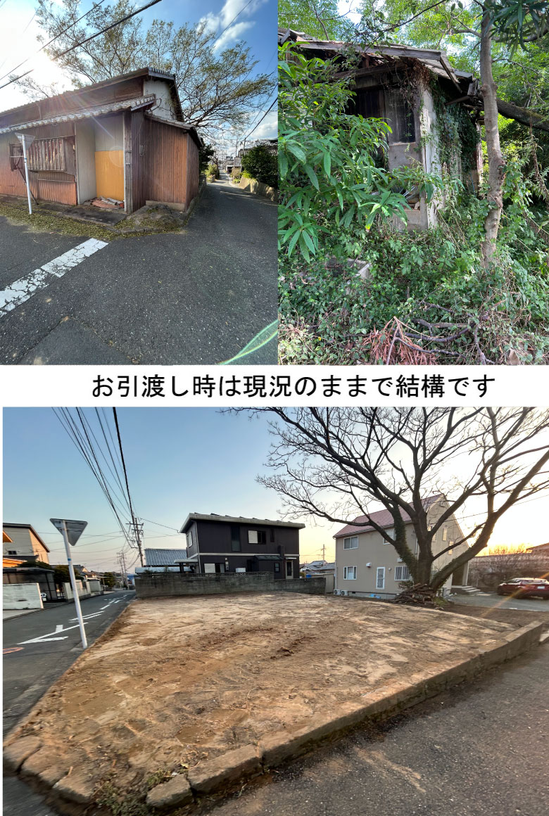 巨木のある空家解体
