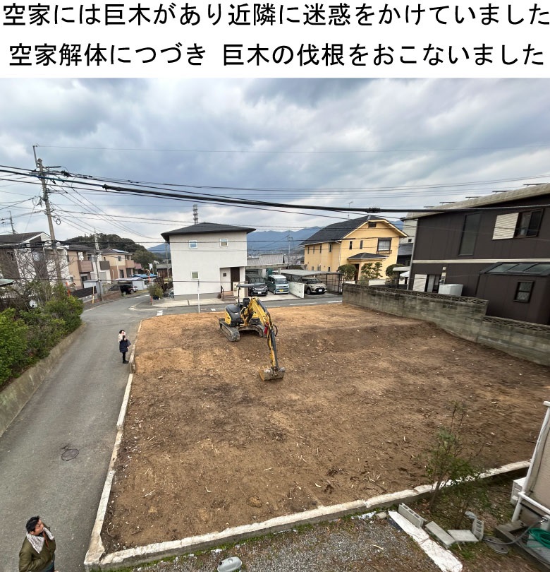 巨木伐根後の様子
