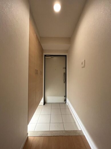 福岡市博多区美野島 2-31-2 ヒューマインド美野島並木通り 802 玄関