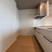 福岡市博多区美野島 2-31-2 ヒューマインド美野島並木通り 802 キッチン