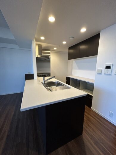 福岡市中央区赤坂3丁目 パークコート赤坂ヒルトップレジデンス キッチン 福岡市中央区赤坂3丁目 パークコート赤坂ヒルトップレジデンス キッチン