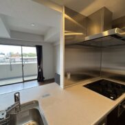 福岡市中央区赤坂３丁目 パークコート赤坂ヒルトップレジデンス キッチンからの眺め２