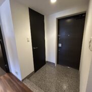 福岡市中央区赤坂3丁目 パークコート赤坂ヒルトップレジデンス 玄関2 福岡市中央区赤坂3丁目 パークコート赤坂ヒルトップレジデンス 玄関2