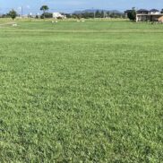 福岡市早良区飯森山３