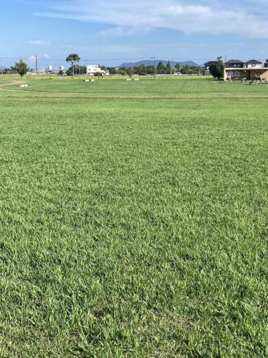 福岡市早良区飯森山３