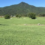 福岡市早良区飯森山４