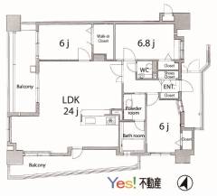 layout